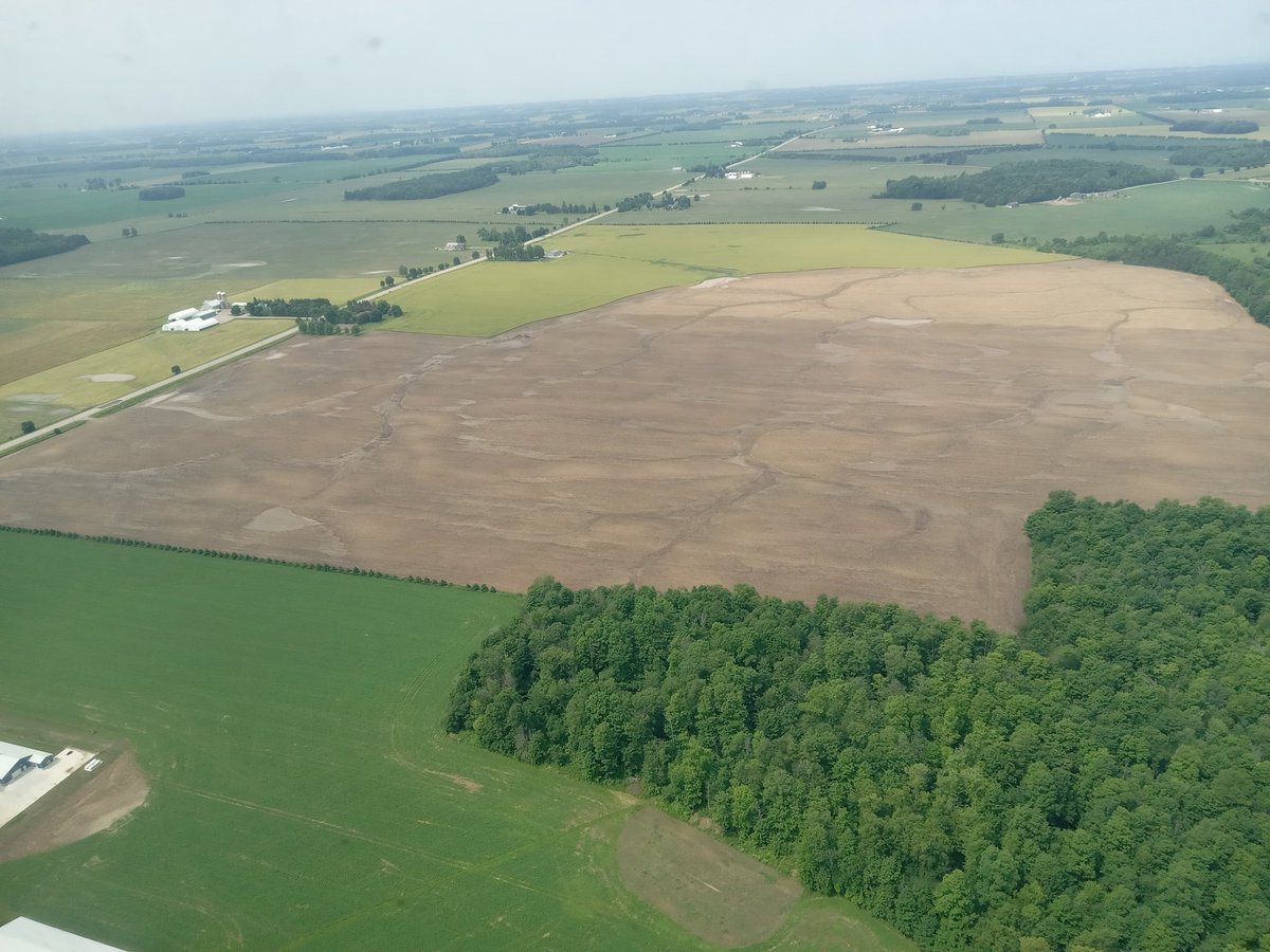 Tyler Papple tweet media