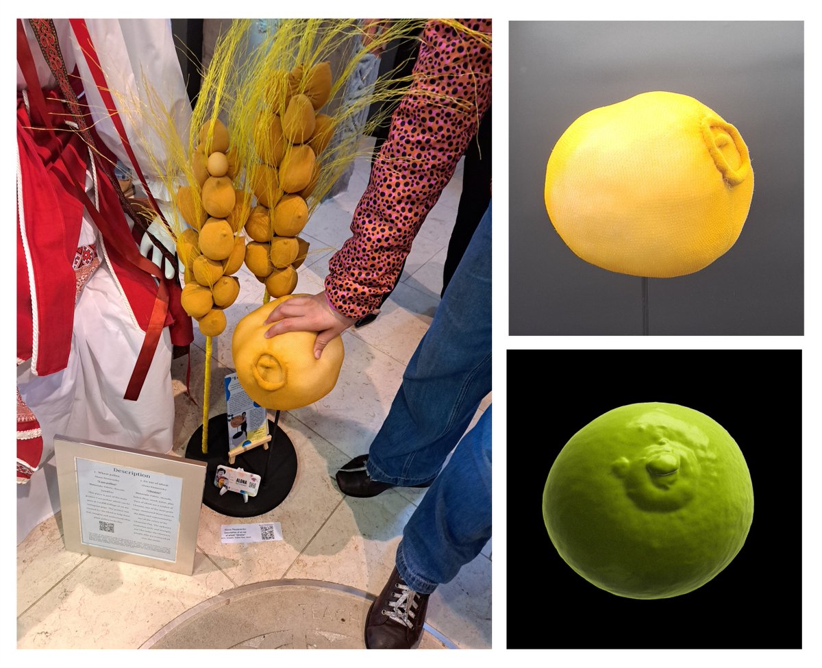 Huge thanks to Alona Nesterenko for sharing images of her wonderful exhibits in support of Ukraine at the  recent Llantwit Major arts festival. They feature wheat ears and pollen created from fabric for the blind.
these3streams.uk/exhibitions/uk…