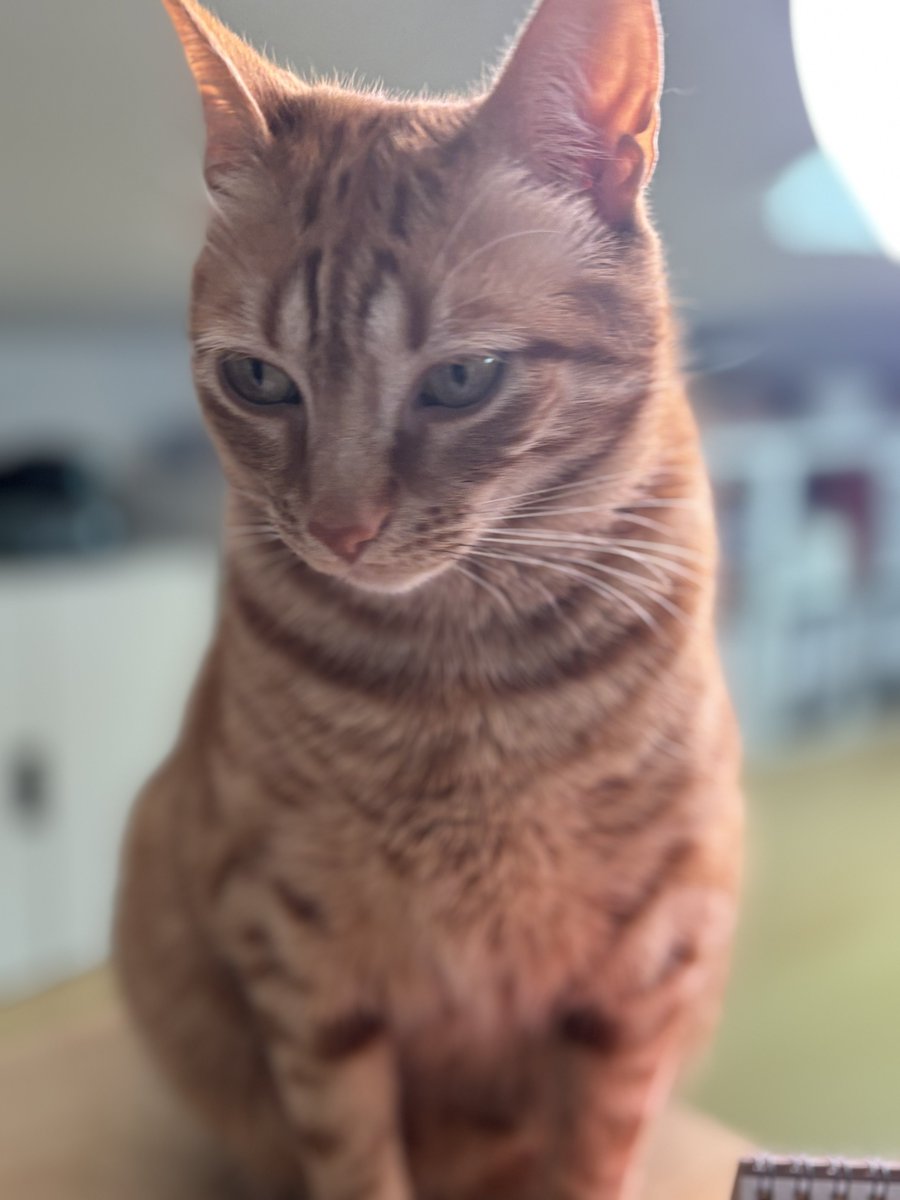 Continua lindo 😵‍💫😍