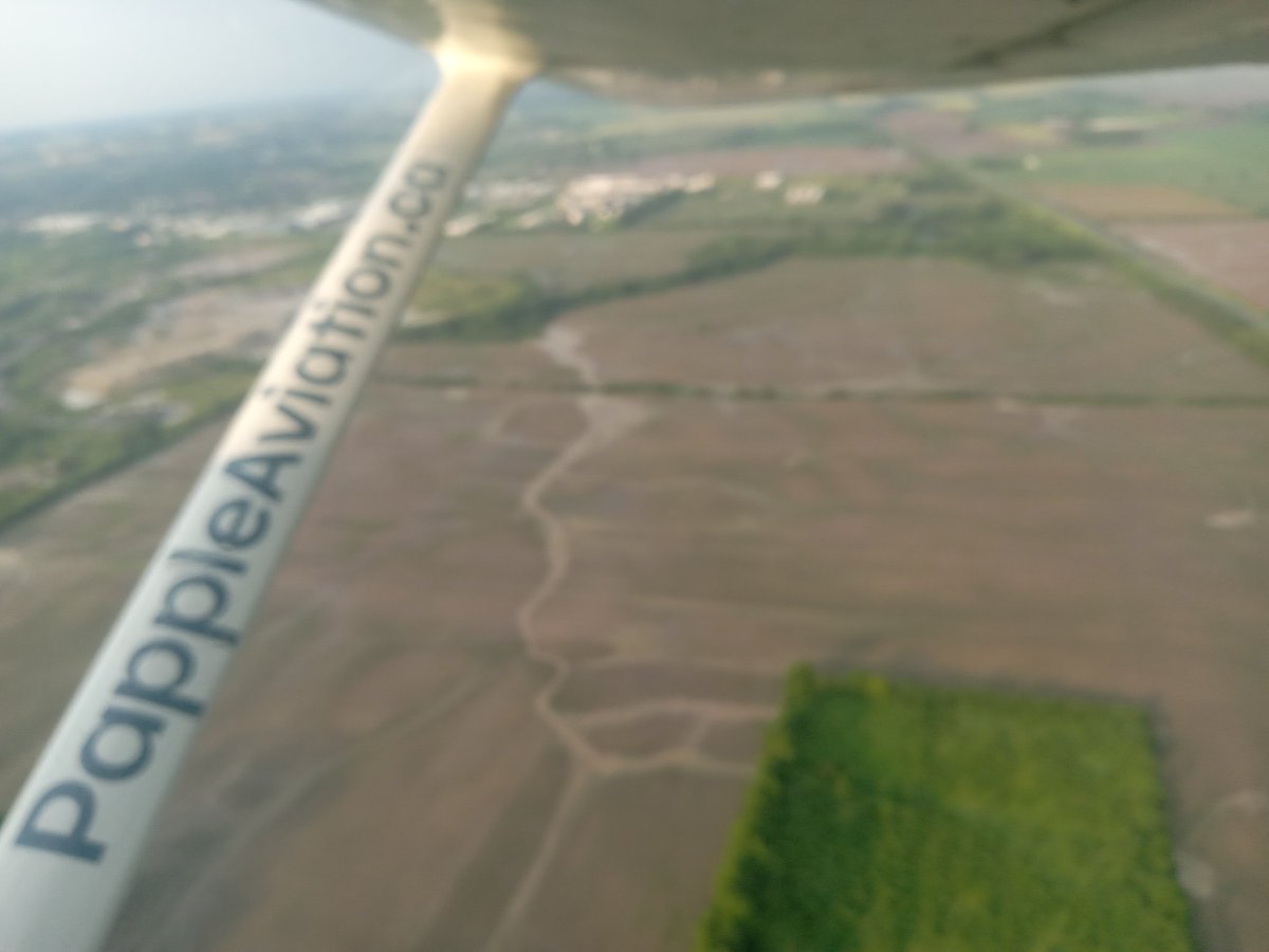 Tyler Papple tweet media