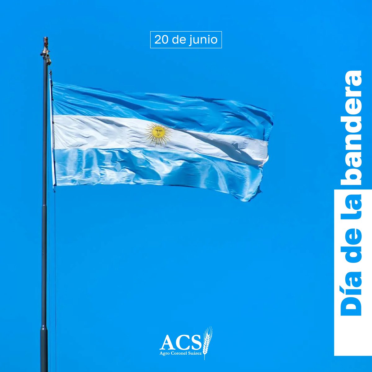 En el aniversario de nuestra insignia nacional, nos vestimos de celeste y blanco 🩵🤍 para honrar a nuestra Bandera 🇦🇷.

¡FELIZ DIA BANDERA NACIONAL!

#agrocoronelsuarez #serviciosagropecuarios #diadelabandera