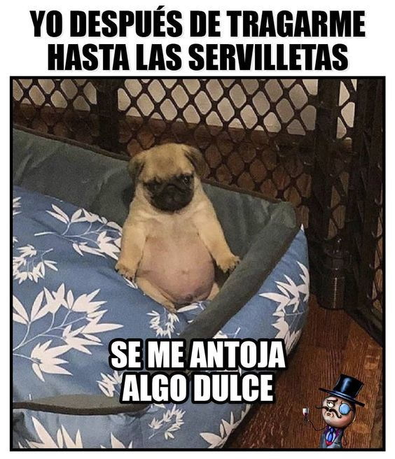 Ivan Garcia (@ivan0g) on Twitter photo 