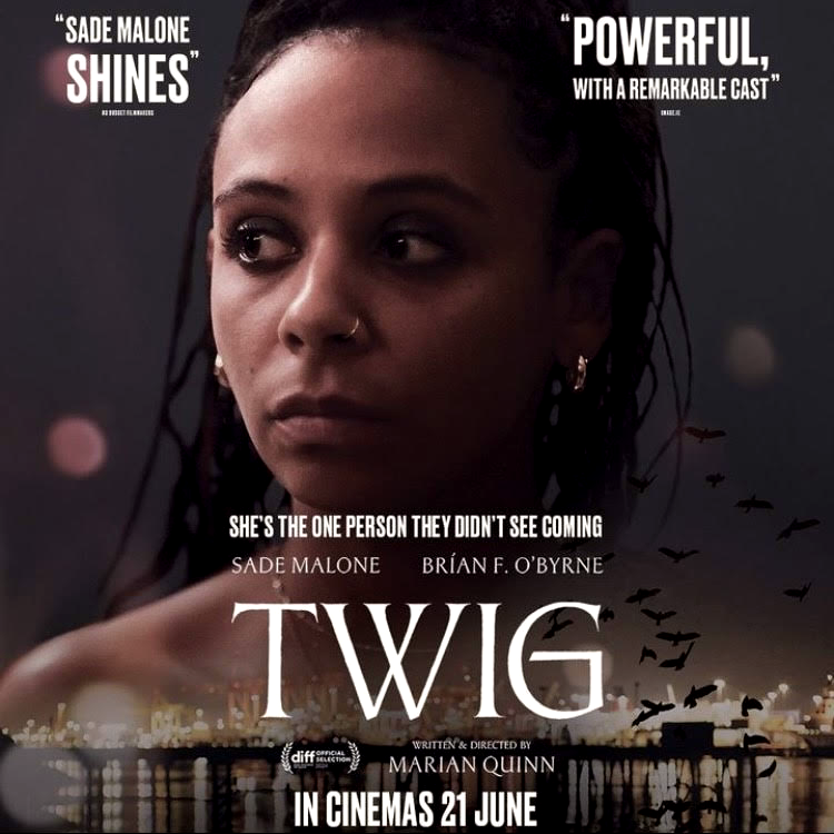 Dublin International Film Festival tweet media