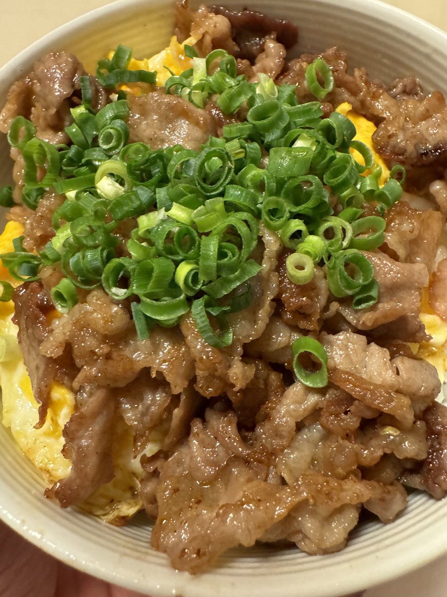 卵と豚こまの勢い飯ッ！ 味付けは……つい出来心で買ってしまった業務スーパーの醤油ラーメンスープだよ！ 1リットルあるよ！ ( ´ ▽ ` )ﾉ