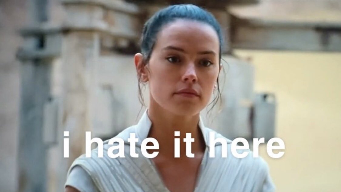 Maggie Lovitt tweet media