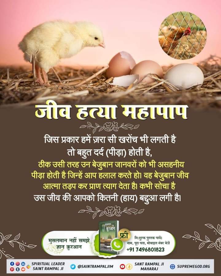 जीव हत्या महापाप