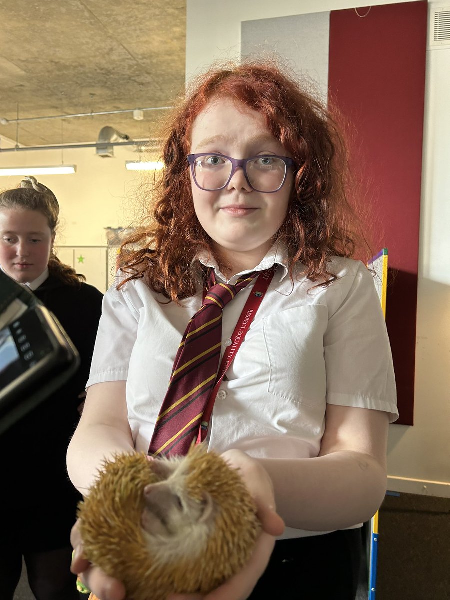 HarrisSfL tweet media