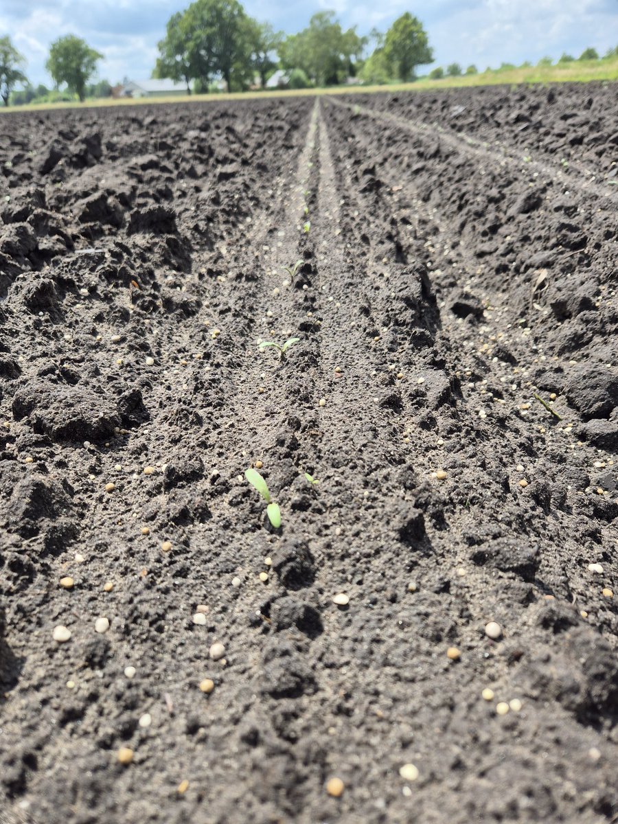 Rob Meeuwissen tweet media