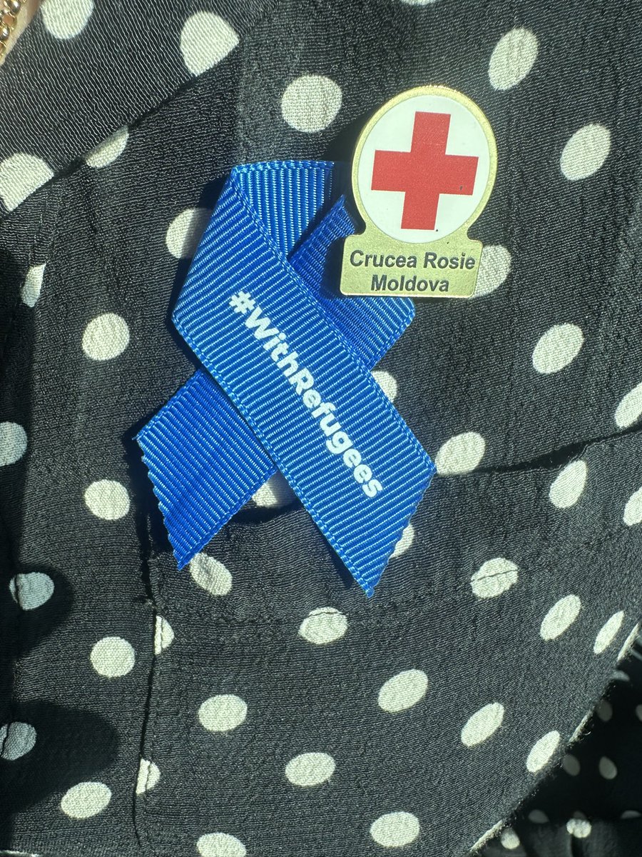 Diana Lungu tweet media