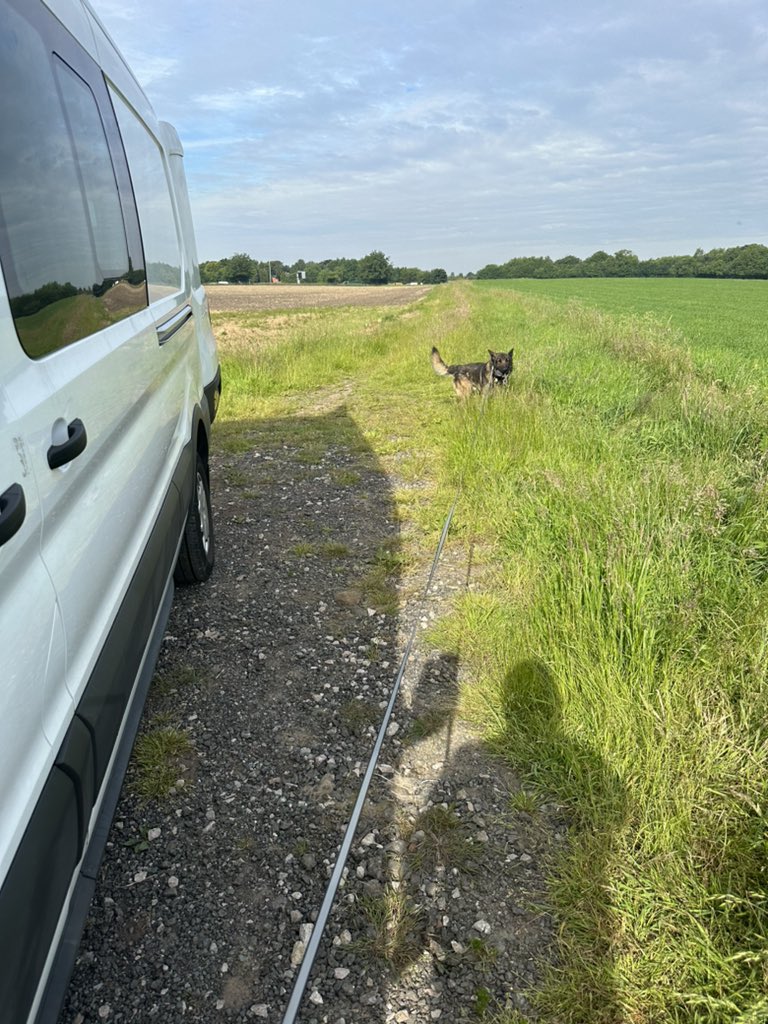 ORidgr's tweet image. School run done now out with the dogs