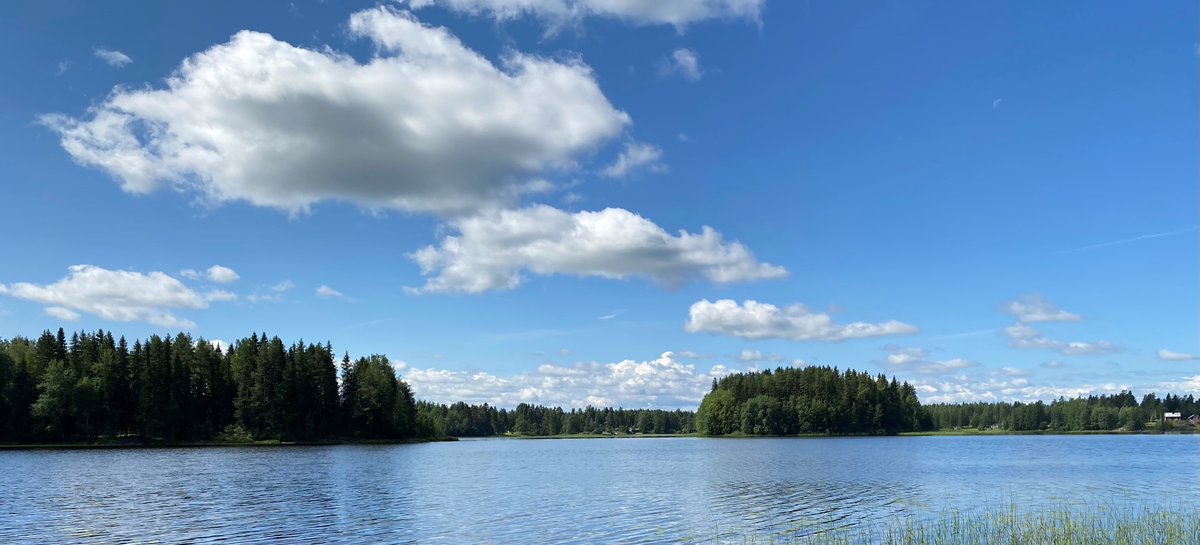 🌳🌤️Hyvää juhannusta! 

ℹ️ Digiroad-asiakaspalvelu on kiinni juhannusaattona 21.6. Muuten palvelemme koko kesän normaalisti.