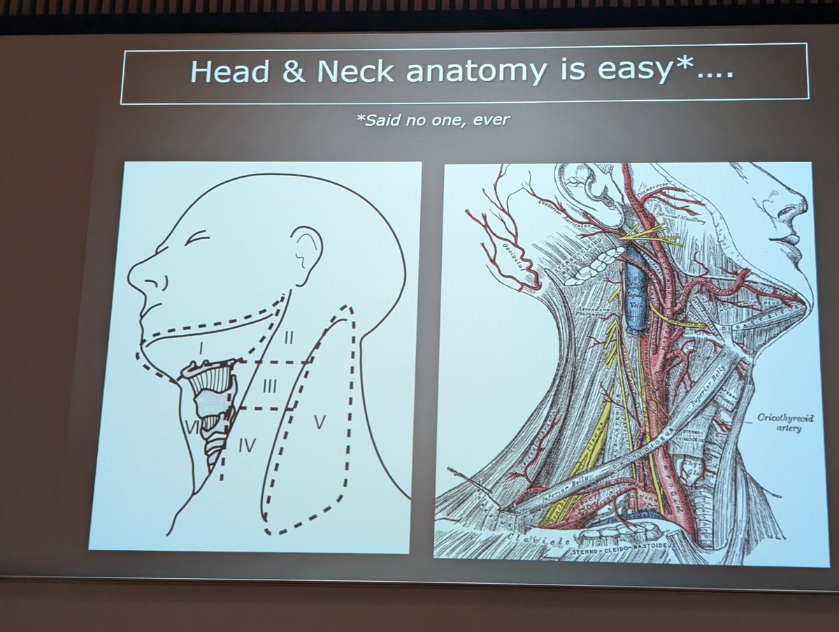 Dr Gemma Clunie @gemmaclunie.bluesky.social tweet media