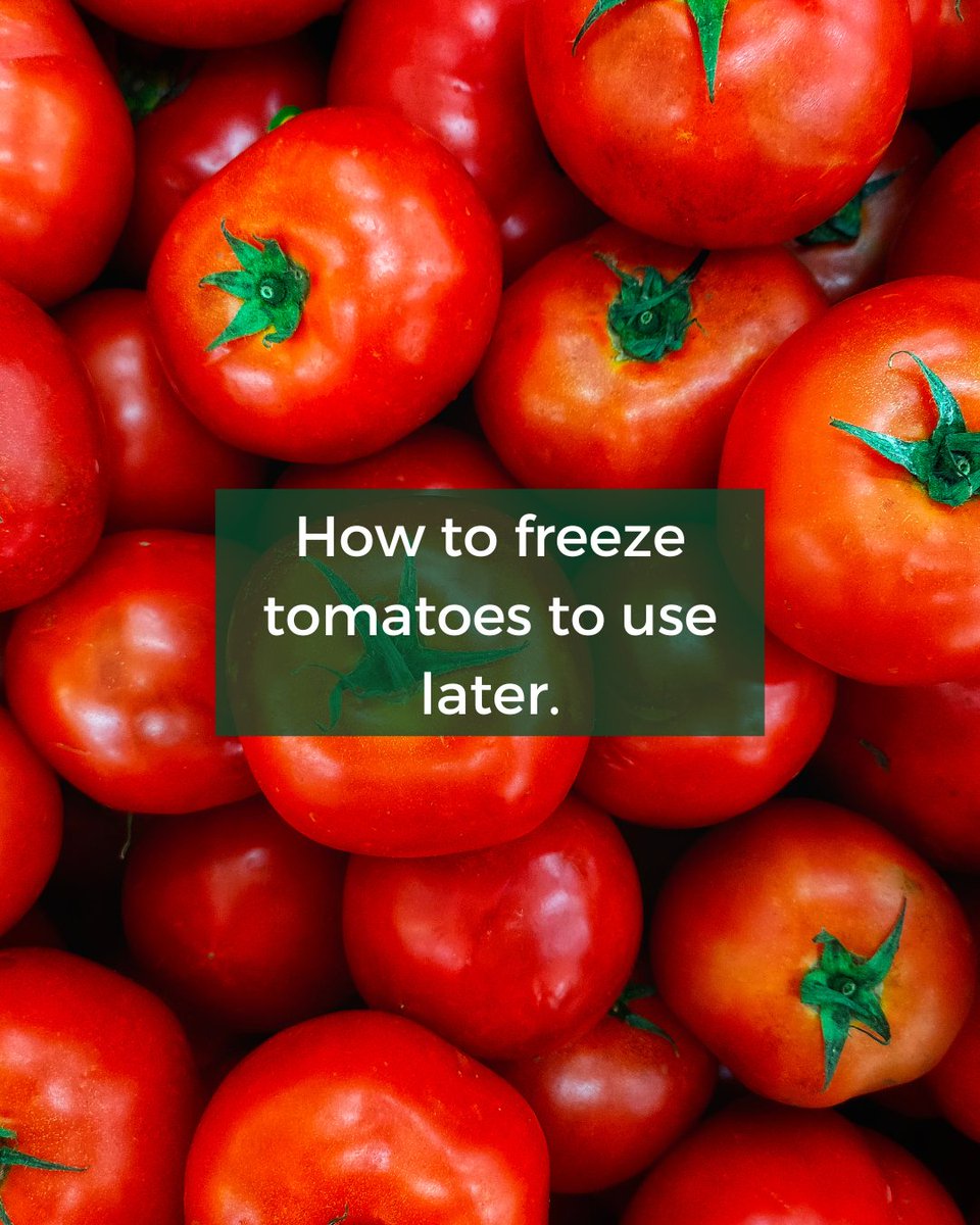 Got extra tomatoes? Here’s how to freeze them:

-Blanch, peel, and drain whole tomatoes. Cool before freezing.
-Chop, cook to reduce water, add basil, and store as a concentrated puree in ice cube trays for perfect soup or pasta portions!