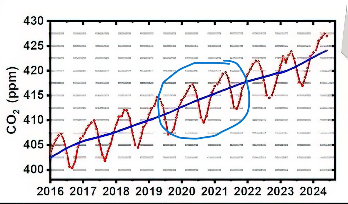 pepetalamo's tweet image. ¿Me lo parece o acabáis de publicar la primera prueba empírica que demuestra que la acumulación de Co2 es una variable independiente de la emisión producida por la actividad Humana? Durante los confinamientos Ilegales, las emisiones se redujeron en casi un 60% a nivel mundial