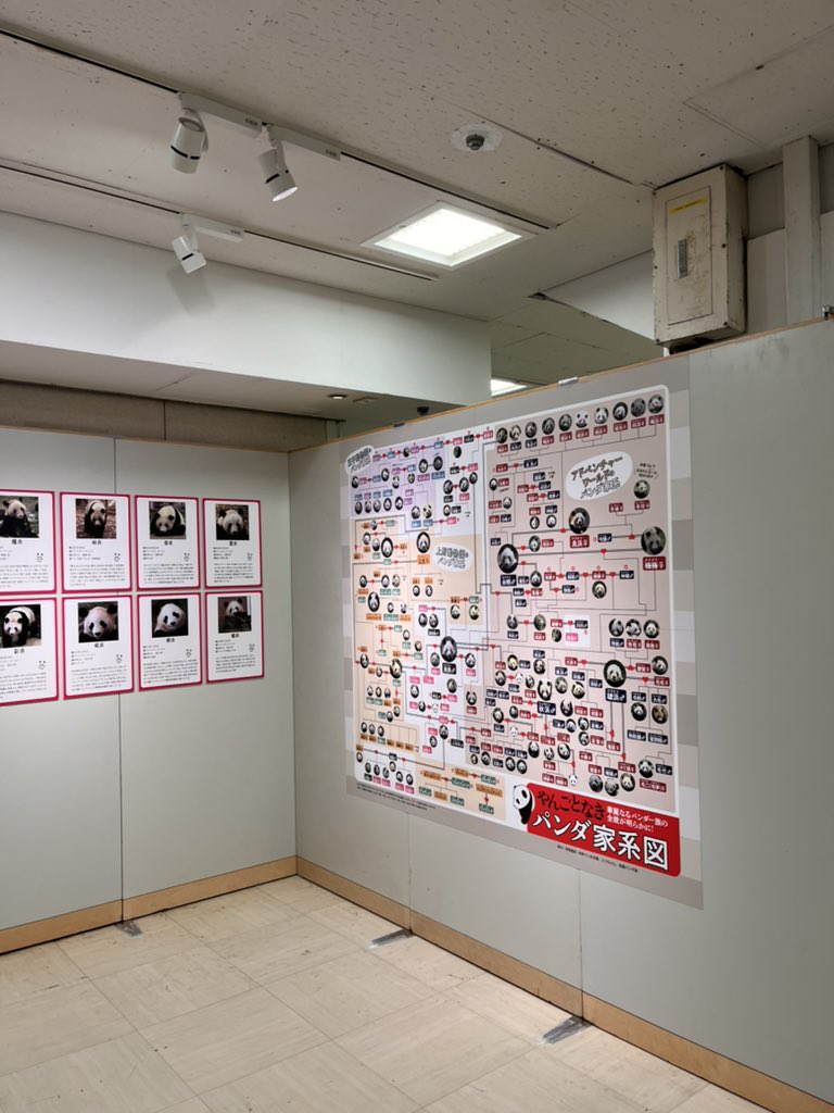 パンダ自身フェス、松坂屋上野店にて開催中！(24日まで) お馴染み