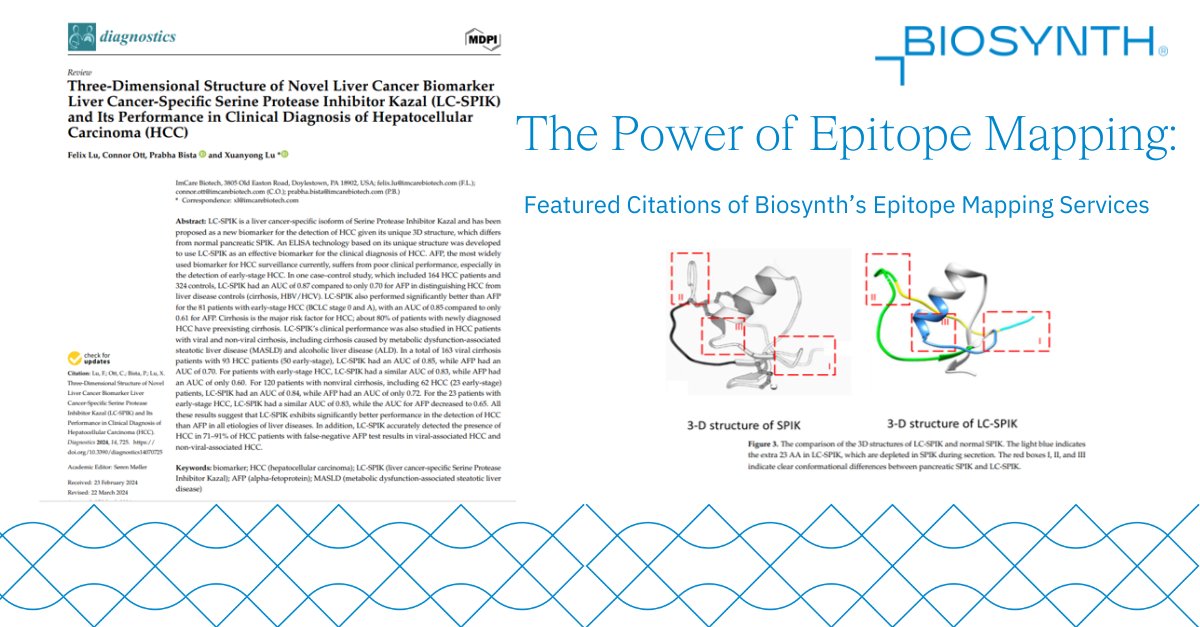 BiosynthGroup's tweet image. The power of Biosynth&apos;s #epitope mapping is accentuated by featuring in two recent publications at the forefront of #research. Read our blog to discover how our #epitopemapping was critical to the studies&apos; discoveries and future progression t.ly/TvVDP

#biologics