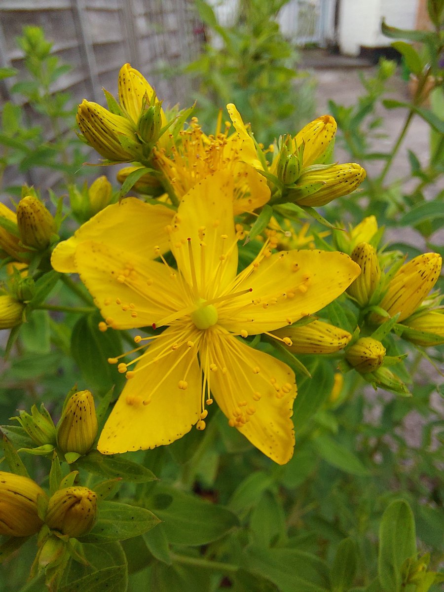 Kate Garrett tweet media