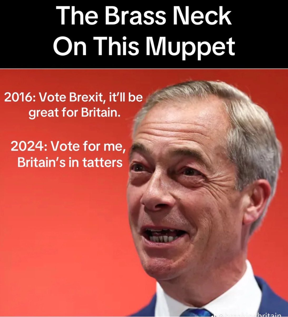 <a href="/LizWebsterSBF/">Liz Webster</a>