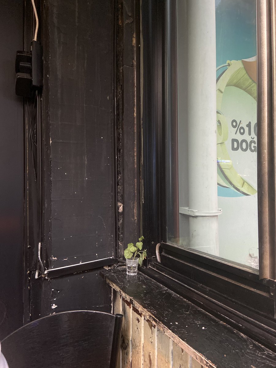 Bu hafta üçüncü saksı çiçeğimi çöpe atan ben ve şöyle bir köşede bile çiçek bakabilen birileri..