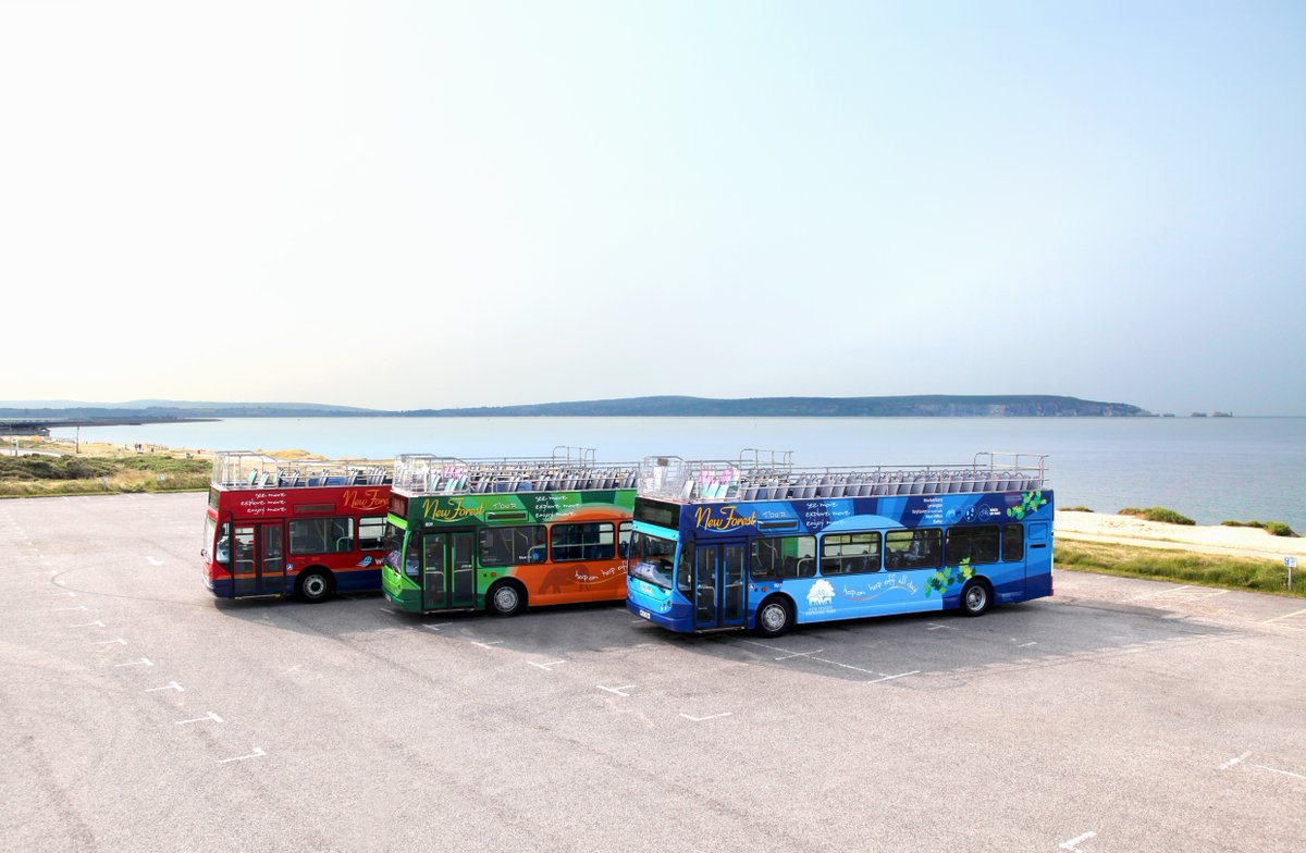 2024 will be the 20th anniversary of the New Forest Tour bus!

Starting on Saturday the 29th June the open-top buses will run along three routes that criss-cross the National Park.