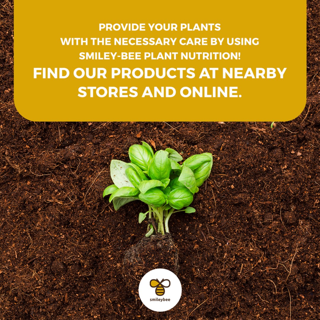 SmileyBeeLtd's tweet photo. Good nutrition is key for plant health! SmileyN Foliar for nutrient absorption, Smileygel Soil for better soil structure, Hydroverde for mineral nutrition, and Algirosso for growth. Nourish your plants with Smiley-Bee! 
 #smileybee #plantnutrition #organicgardening https://t.co/IGrnsE5Fvo