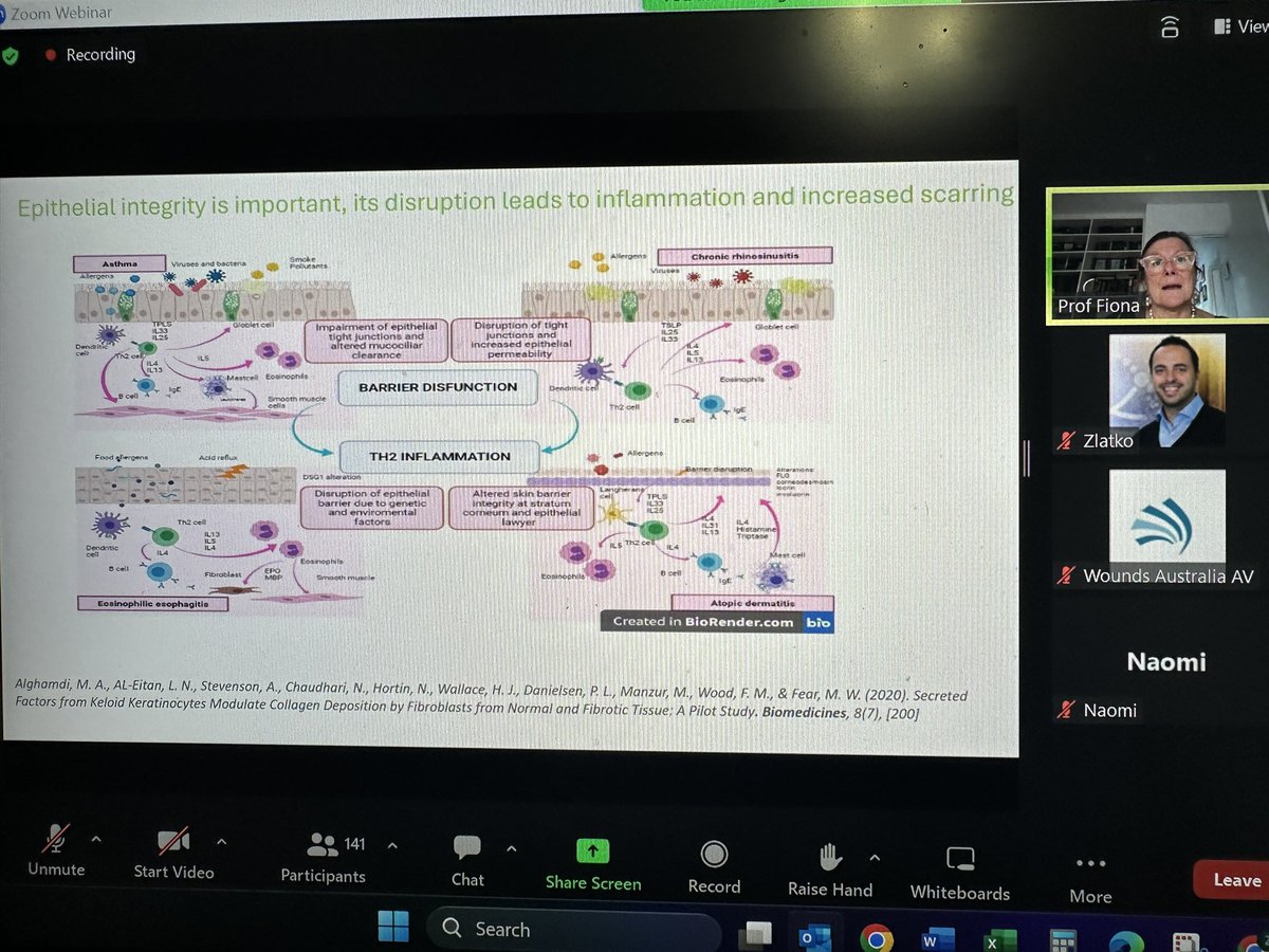 Zlatko Kopecki (@kopeckizlatko) on Twitter photo Delighted to chair tonight’s webinar “Skin Repair & Wound Healing of the Future” by <a href="/WoundsAus/">Wounds Australia</a>. Prof Fiona Wood FRACS AO delivering a fascinating journey to Space and Back #wounds #injury #burns #infection 🪐🚀 Delighted to chair tonight’s webinar “Skin Repair & Wound Healing of the Future” by <a href="/WoundsAus/">Wounds Australia</a>. Prof Fiona Wood FRACS AO delivering a fascinating journey to Space and Back #wounds #injury #burns #infection 🪐🚀