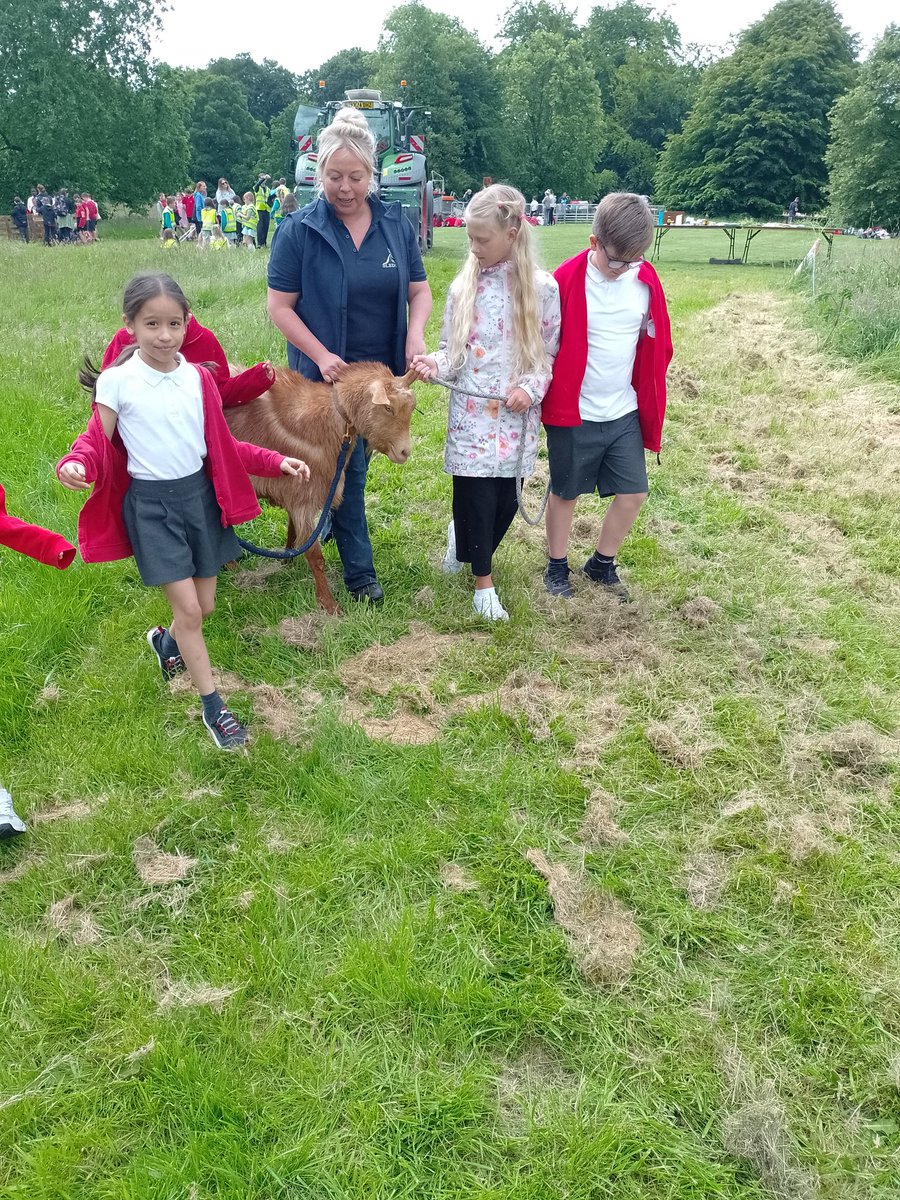 maybury_class4's tweet photo. The children had a fantastic day yesterday at Sledmere Estate, they looked at where our food comes from and even got to meet some of the animals. @HumberEdTrust https://t.co/Z3EITTuw8t