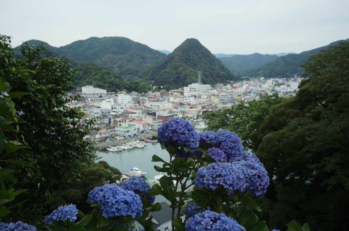 xtd1g9ma2yo4's tweet image. Leica M10-R
POLAR SOLARON 35mm F2.0 7枚玉
jpeg撮って出し
#静岡県 #下田 #下田公園 #あじさい祭
#leica #SOLARON #7枚玉