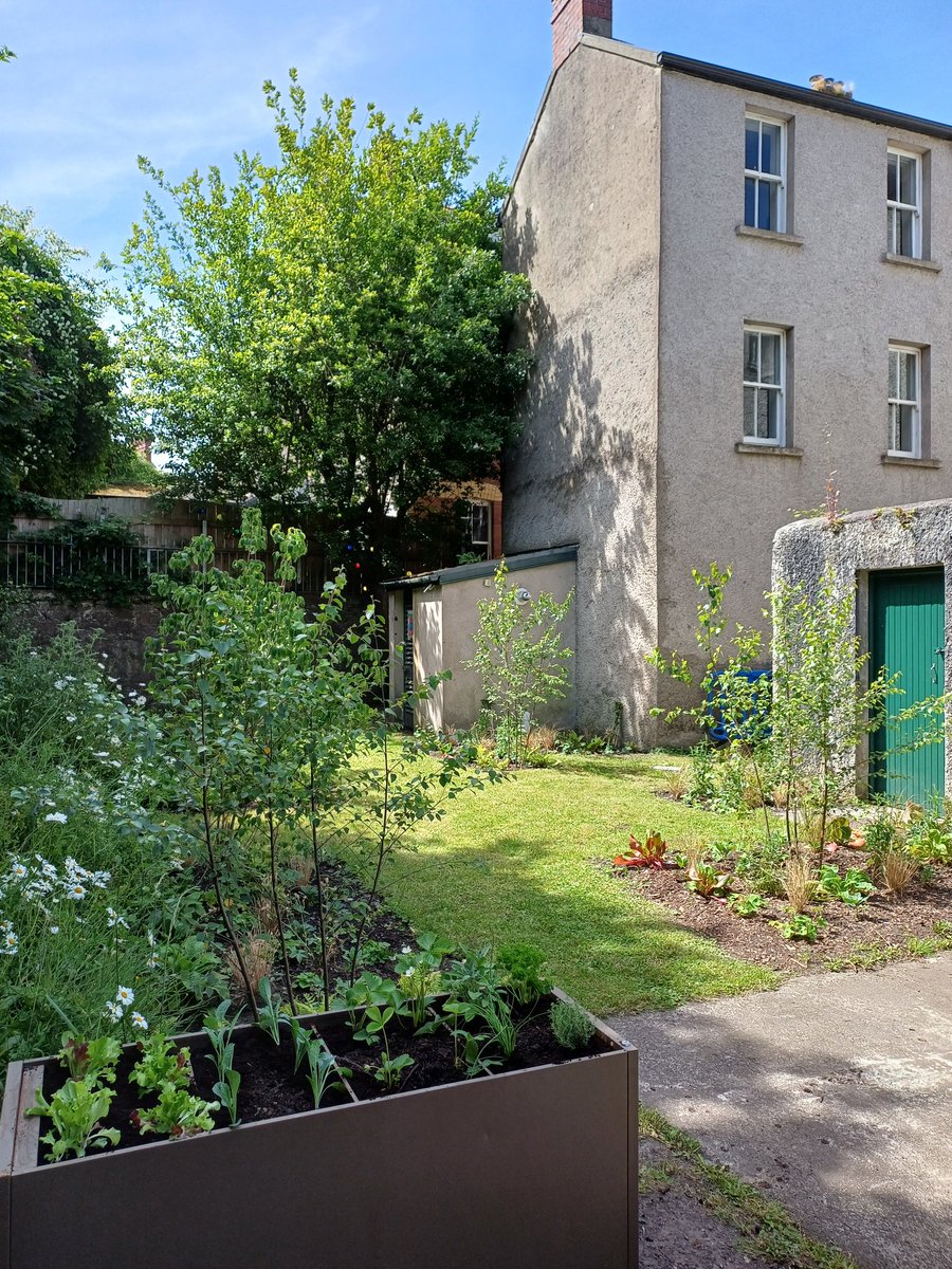 Jack Murphy (@jdmurph73) on Twitter photo New garden completed in Askive House, o'Donavans Rd. The vision of Mary C Sheehan. We sat down over a year ago to discuss a plan for the garden. Secured <a href="/GreenCampusUCC/">UCC Green Campus</a> living lab fund. Old filing cabinets are used to grow veg. A garden for nature and staff to thrive and relax. New garden completed in Askive House, o'Donavans Rd. The vision of Mary C Sheehan. We sat down over a year ago to discuss a plan for the garden. Secured <a href="/GreenCampusUCC/">UCC Green Campus</a> living lab fund. Old filing cabinets are used to grow veg. A garden for nature and staff to thrive and relax.