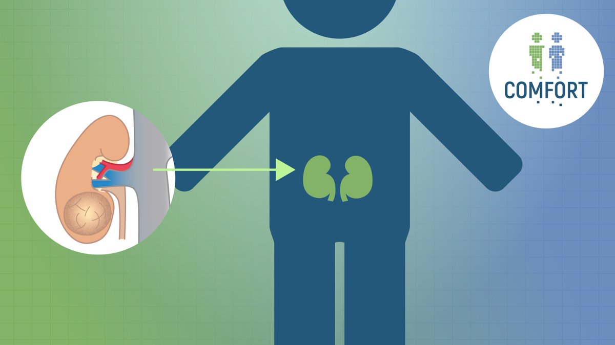 It’s #WorldKidneyCancerDay, so let's talk more about #kidney #cancer! 🔊

But what is #KidneyCancer? 🤔Kidney cancer develops when abnormal cells in one or both kidneys multiply uncontrollably, forming a #tumour that can grow over time.