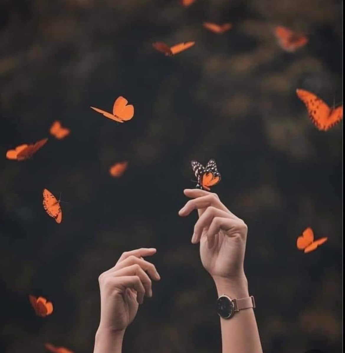 اب تیری چاہ سے رخصتِ طلب ہوں میں 

اس بار میرے دل سے سچ مچ اتر گیا