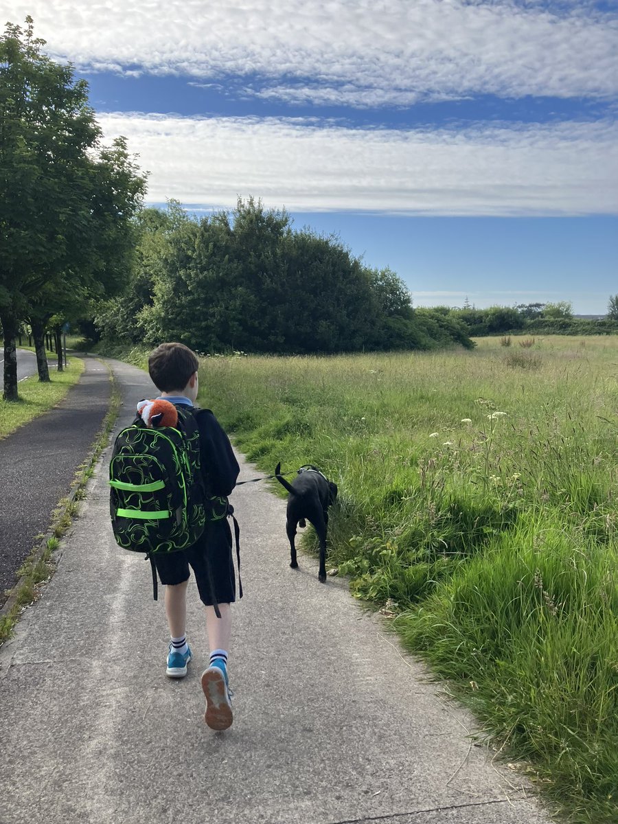 MarinaStrasser's tweet image. Almost done, roll on summer!!