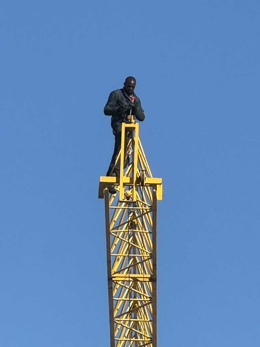 Anne-Maria Makhulu tweet media