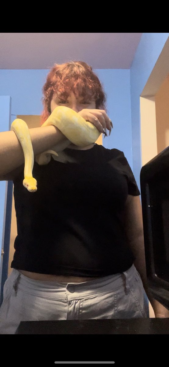 HiMyNames_Raine's tweet image. #albinoballpython #ballpython #snake #Caine #reptile #AhaYouGotNoLegs #slitheryboi