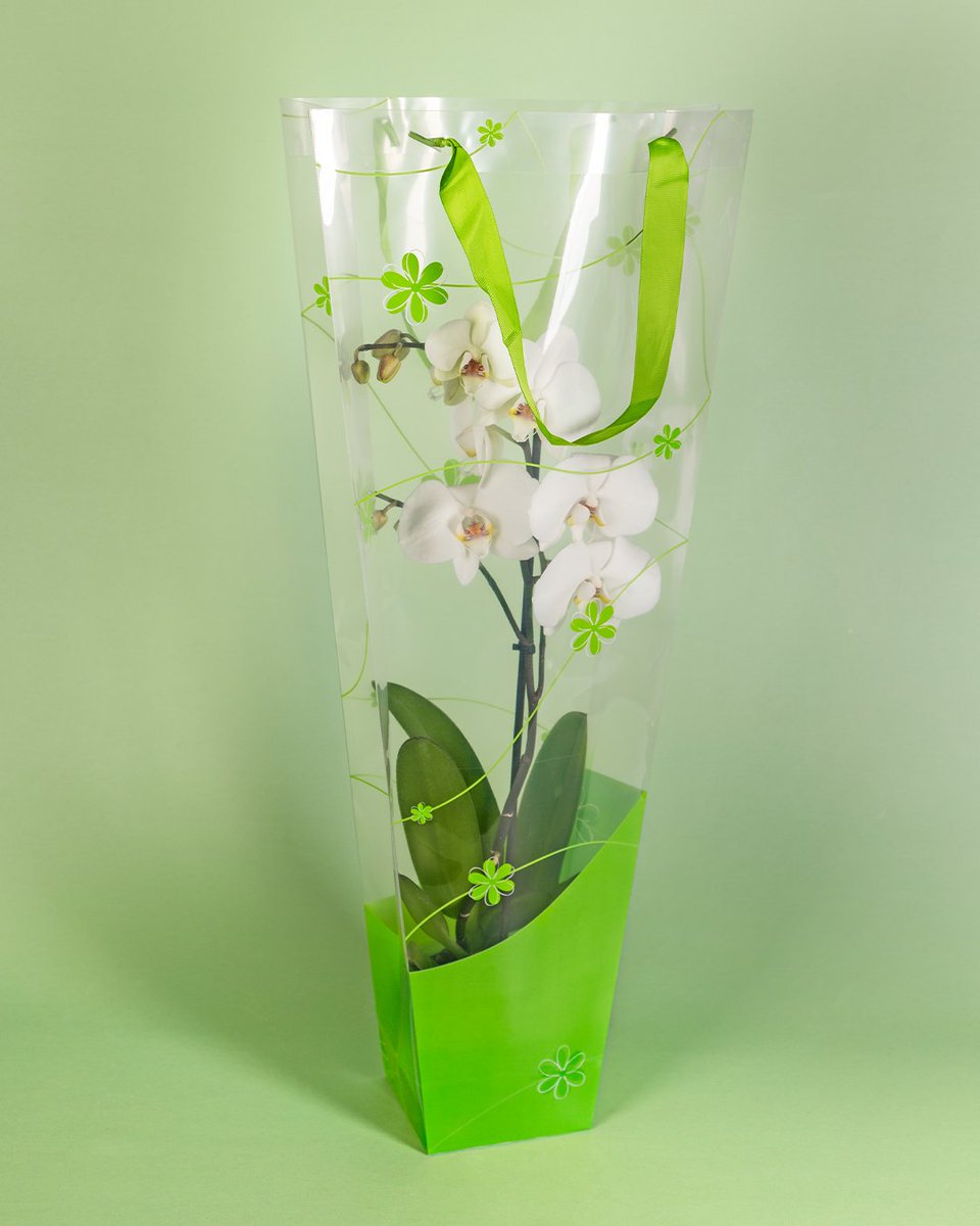 GO WITH THE FLOW 🌱 | Het is tijd om te relaxen deze zomer. Tas Flow helpt je alvast op weg. 

Shop online: broekhof.nl