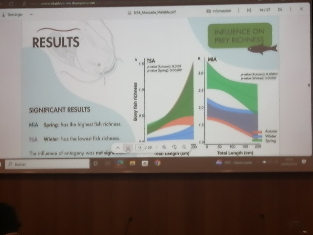 FishInvasionLab's tweet image. @MafaldaMoncada presenting of the invasive European catfish predation on fish communities in the Tagus river. @MAREscience @sibic2024 #megapredator project. Great job!
