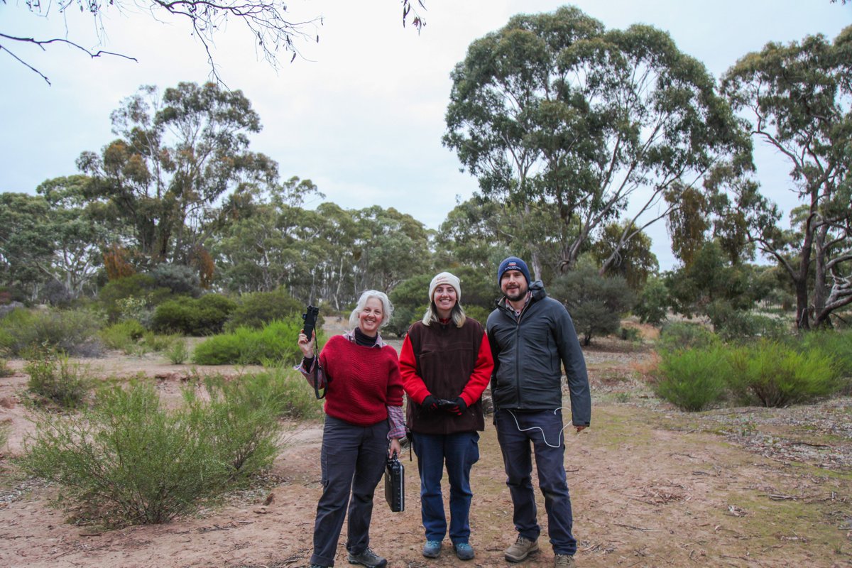 Just finished a great IoT deployment with ecologists from <a href="/BushHeritageAus/">Bush Heritage</a> &amp; soil scientists from <a href="/MonashUni/">Monash University</a> . It's for a land restoration project at the Nardoo Hills reserve to re-vegetate and re-hydrate the soil.