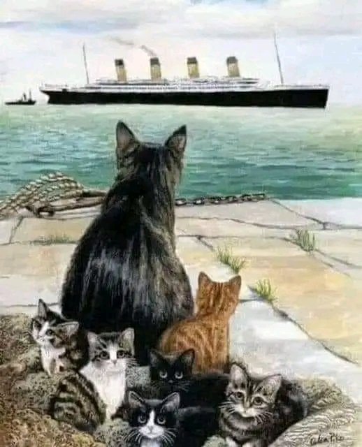 LOVEvANIMAL's tweet photo. https://t.co/SA9lS74maZ