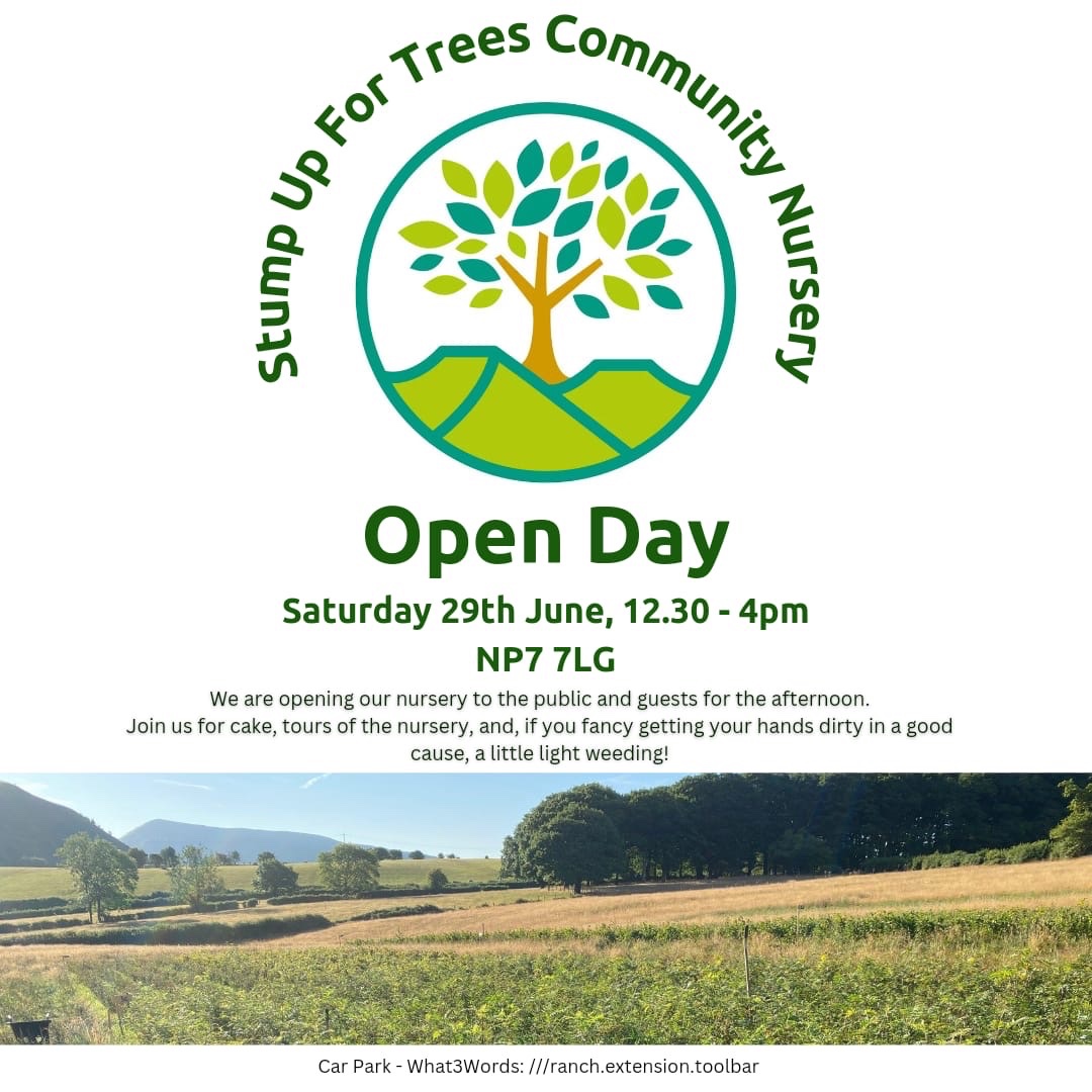 We have a path in our community nursery. It has taken a while. We started digging in October and the ground has finally dried out sufficiently this week for us to complete it. The story of last winter! 

Reminder for locals, we are hosting an Open Day on Sat 29th June, 12.30-4pm