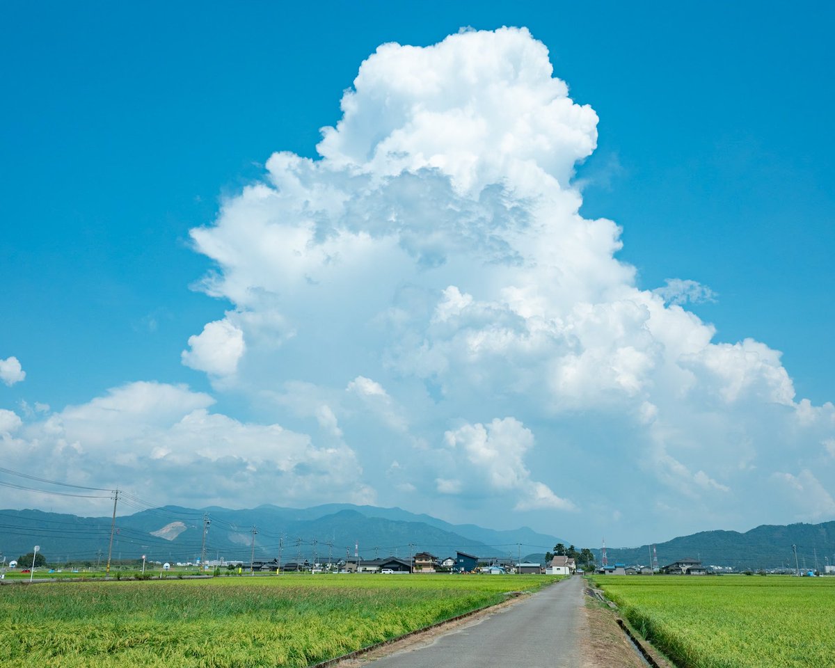 photo_okina's tweet photo. 思い出の夏 https://t.co/1E86HJpAXu