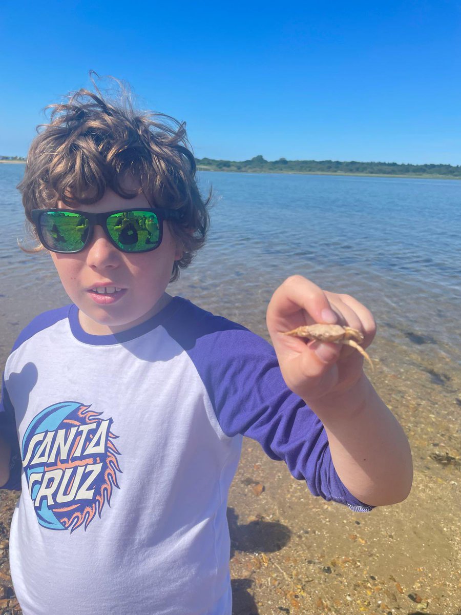 Wellington College Prep Sport (@wcpsport) on Twitter photo Year 5s are having a great time on the south coast, lots of learning about marine biology and beach exploring! #GoldenEagle <a href="/CalshotActs/">Calshot Activities Centre</a> Year 5s are having a great time on the south coast, lots of learning about marine biology and beach exploring! #GoldenEagle <a href="/CalshotActs/">Calshot Activities Centre</a>