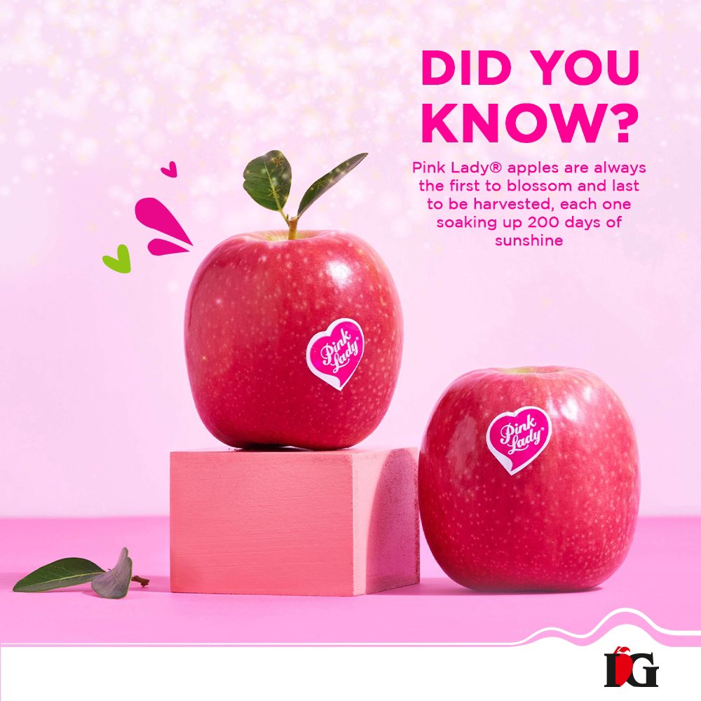 Now we know the secret behind their delicious taste—nature’s perfect recipe!
To order, download our app My IG or visit our website myig.in
#pinkladyapple #apples #applefruit #freshfruits #healthyliving #eathealthy #livehealthy #stayhealthy #eatfresh #igfruits