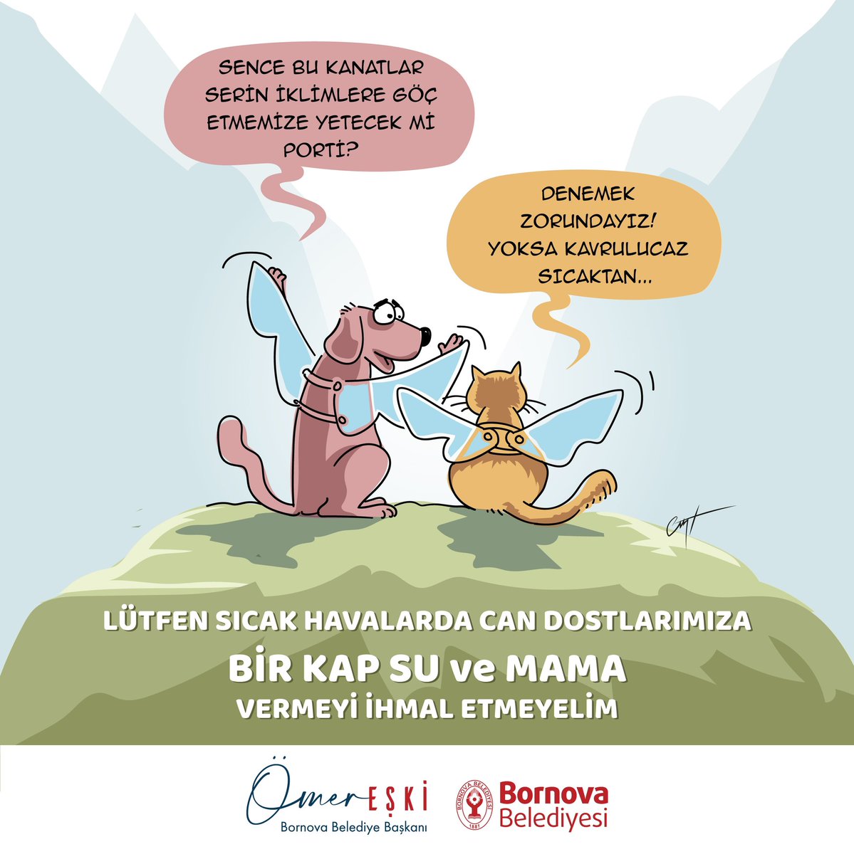 Hava çok sıcak ☀️  Lütfen sokaktaki can dostlarımızı unutmayalım kapımızın önüne bir kap su koyalım.