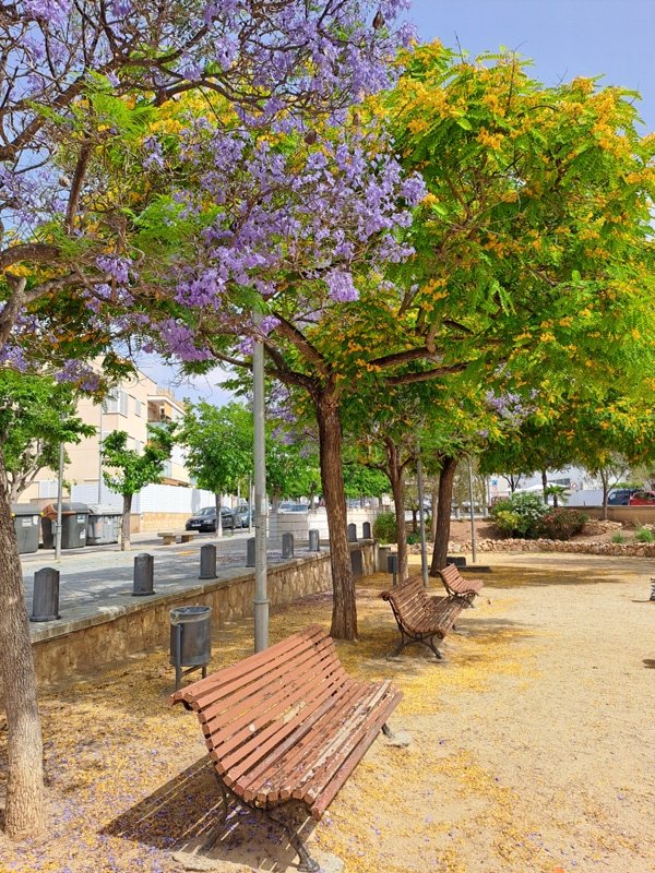 Joan Grífols tweet media