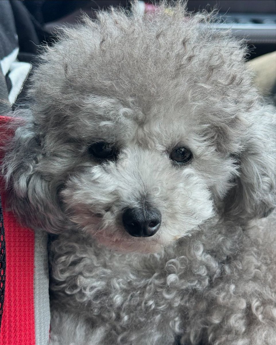 wait zero is so cute 😭😭😭😭