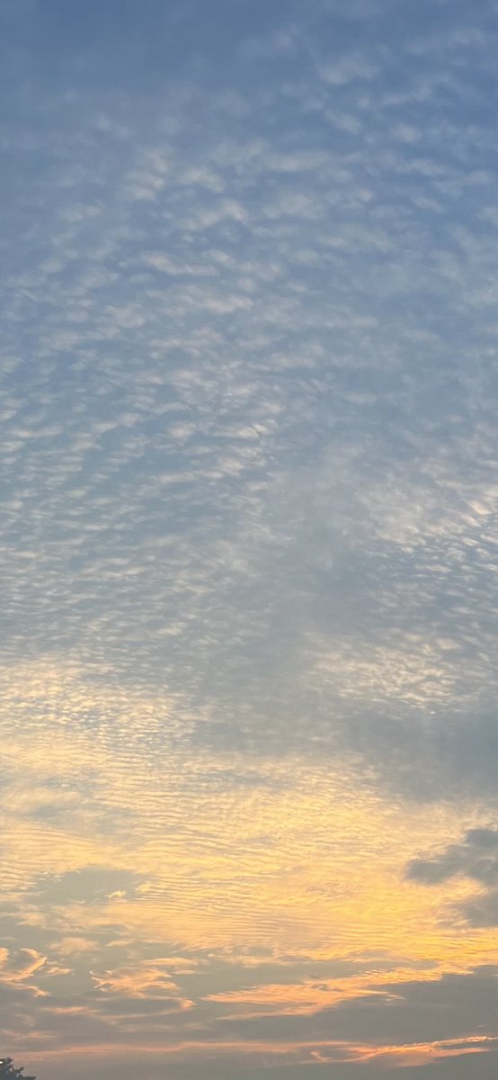 murphybeans's tweet image. Texture