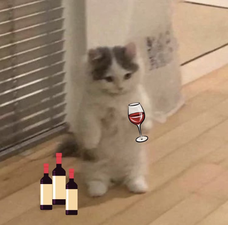 winememecto's tweet photo. @memenator123 @itsFoxCrypto @100xAltcoinGems @CRYPT38 @Monkey_Shit_inu @MonstersCoins Super bullish on $WINE 🍷

#WINE #BULLISH #MEMECOIN #1000XGEM #MICHI 

@michionsolana @blknoiz06 @SolanaMummy @JakeGagain https://t.co/Noqo7k2iof