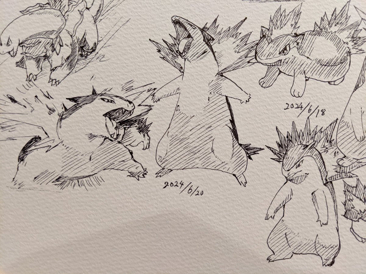 バクフーン 金銀でもハートゴールド・ソウルシルバーでもずっと相棒だった カキカキ。 