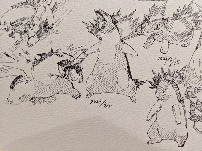 バクフーン 金銀でもハートゴールド・ソウルシルバーでもずっと相棒だった カキカキ。 