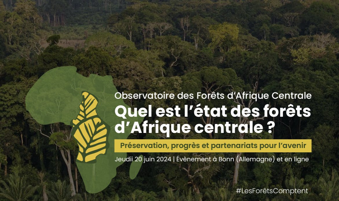 GlobalLF_FR's tweet photo. Selon vous, quel est le facteur le plus critique pour améliorer la gestion forestière en Afrique centrale?

Répondez ici: https://t.co/PpQB2GNufx

#ForestsMatter https://t.co/e6edTyHmmC